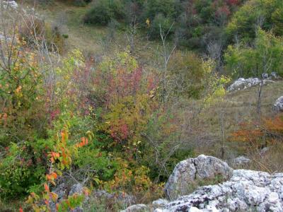 Прикрепленное изображение: DSCF5821.jpg